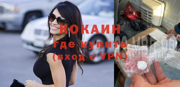 прущие грибы Бронницы