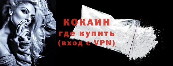 прущие грибы Бронницы