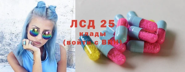 бошки Бородино