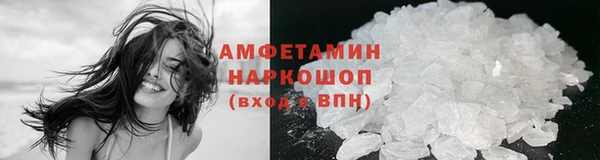 прущие грибы Бронницы