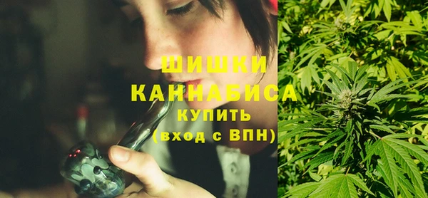 ПСИЛОЦИБИНОВЫЕ ГРИБЫ Баксан