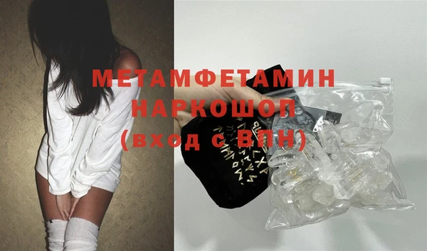 прущие грибы Бронницы