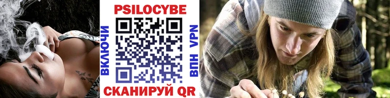 Псилоцибиновые грибы прущие грибы  Чудово 